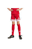 adidas Çocuk  Kırmızı  Şort SQUA25 SHO Y JJ2416