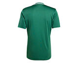 Adidas Campeon25 Jsy M Erkek Futbol Antrenman Forması JF6063 Yeşil