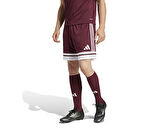 adidas Squa25 Sho M Erkek Futbol Şortu JC8677 Renkli