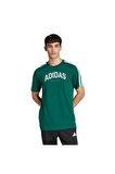 adidas Erkek  Yeşil  GRAPHIC TEE (SHORT SLEEVE M C COLLEG TEE JJ3869