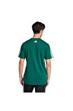 adidas Erkek  Yeşil  GRAPHIC TEE (SHORT SLEEVE M C COLLEG TEE JJ3869