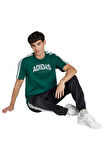 adidas Erkek  Yeşil  GRAPHIC TEE (SHORT SLEEVE M C COLLEG TEE JJ3869