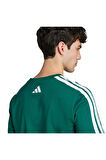 adidas Erkek  Yeşil  GRAPHIC TEE (SHORT SLEEVE M C COLLEG TEE JJ3869