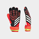 Adidas Futbol Kaleci Eldiven Pred Gl Trn Iq4027