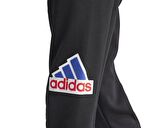 adidas M Fı Bos Pt Oly Erkek Günlük Eşofman Altı IS3232 Siyah