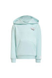 adidas HOODIE SET Çocuk   Eşofman JN4683