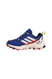 adidas Çocuk  Mavi  Bot TERREX AX4R DISNEY K IH2896