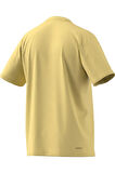 adidas TR-ES COMF TEE Erkek  T-shirt IW3317