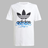 ADİDAS IY5452 GRAPHICS TEE