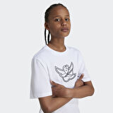 ADİDAS IZ4655 GRAPHIC TEE