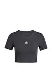 adidas Kadın  Siyah  T-shirt ESS RIB TEE IY9664