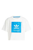 adidas KSENIA GFX TEE Kadın   T-Shirt IW5662