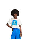 adidas KSENIA GFX TEE Kadın   T-Shirt IW5662