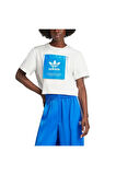 adidas KSENIA GFX TEE Kadın   T-Shirt IW5662