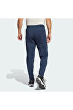 Designed for Training Hybrid Pantolon