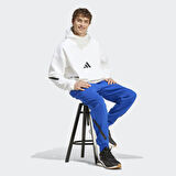 adidas JF6541 M Z.N.E. PT Erkek Tek Alt