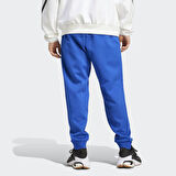 adidas JF6541 M Z.N.E. PT Erkek Tek Alt