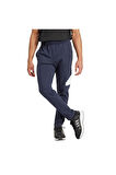 adidas M FI BOS PT Erkek  Eşofman Altı IW8584