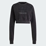 Adidas Kadın Sweatshirt Wash  Iw5559