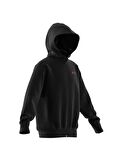 adidas Kapüşon Yaka Baskılı Siyah Kadın Eşofman Üstü IV9635-J SW ZNE FZ HD