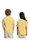 adidas Çocuk  LK DY LK T T-shirt IY7699