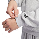 Adidas Iw8253 Slt Fleece Hood Gri