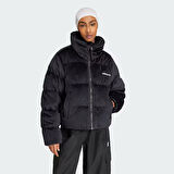 Adidas Kadın Mont Velvet Down Jkt Iw8439