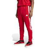 Adidas Erkek Eşofman Alt Tiro Ntpk