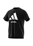 Siyah Erkek Yuvarlak Yaka Normal Kalıp T-Shirt JE2735 ISTANBUL TEE