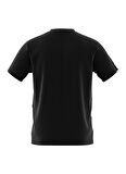 Siyah Erkek Yuvarlak Yaka Normal Kalıp T-Shirt JE2735 ISTANBUL TEE