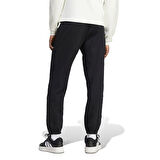 Adidas Erkek Eşofman Altı Bl Ft Pnt Q3 Iw3537