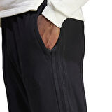 Adidas Erkek Eşofman Altı Bl Ft Pnt Q3 Iw3537