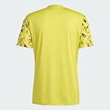 Adidas Team Icon 25 Jersey Erkek Forma JG3551