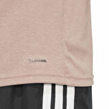 Adidas Erkek Tişört Traing Essentials Fr Nov