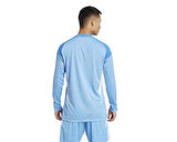 adidas T25 C Gk Jsy Lm Erkek Futbol Kaleci Forması JI9722 Renkli