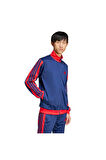 adidas Erkek  Mavi  CEKET M 3S CB TR TT JI8841