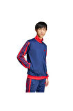 adidas Erkek  Mavi  CEKET M 3S CB TR TT JI8841