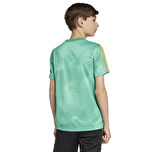 JD0500-C adidas J Hot Cof Tee çocuk T-Shirt Yeşil