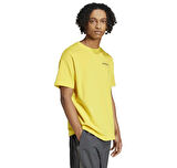 JD5955-E adidas Ng U Ar B Gfx T Erkek T-Shirt Sarı