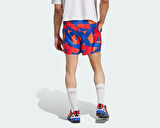 adidas Mt Light Sh Aop Erkek Outdoor Şort JF1252 Mavi