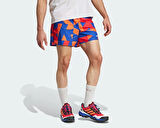 adidas Mt Light Sh Aop Erkek Outdoor Şort JF1252 Mavi