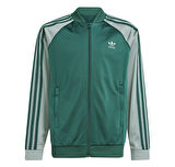 JD1611-C adidas Adicolor Track Top çocuk Ceket Yeşil