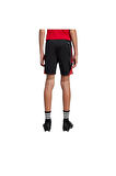 adidas Çocuk  Siyah  Şort TIRO25C TR SHOY JI6487