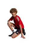 adidas Çocuk  Siyah  Şort TIRO25C TR SHOY JI6487