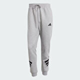 Adidas Erkek Günlük Eşofman Altı M Fı 3S Pt Jd4867