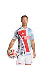 adidas Erkek   Forma AFC PRESHI JE7562