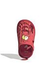 adidas  Bebek  Sandalet WATER SANDAL SEBASTIAN I IH1235