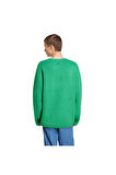 adidas KNIT CREWNECK Erkek  Sweatshirt JN5966