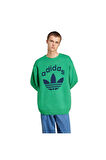 adidas KNIT CREWNECK Erkek  Sweatshirt JN5966