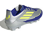 Adidas F50 Club Fg/Mg Messi Erkek Çim Zemin Kramponu IH0916 Gri
